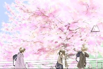 含羞叶草研究所入口